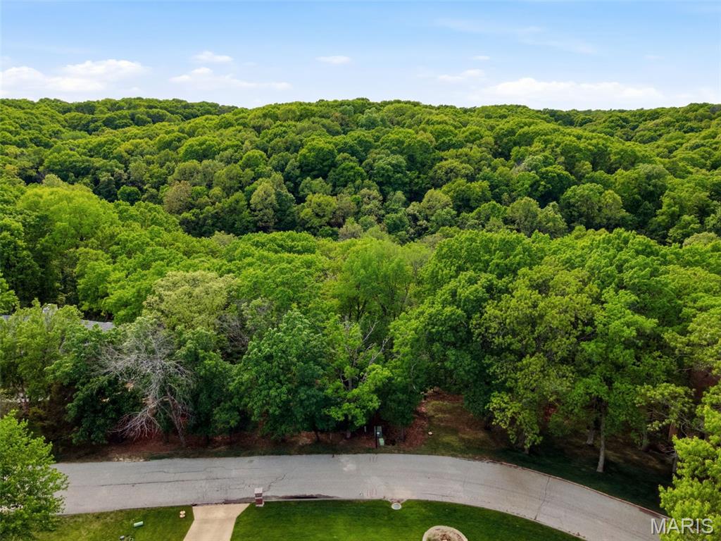 1517-1521 Red Briar High Ridge High Ridge, MO 63049 - Photo 13 of 14