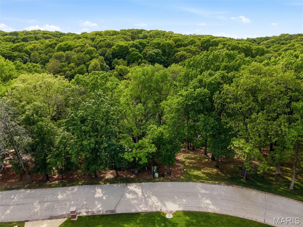 1517-1521 Red Briar High Ridge High Ridge, MO 63049 - Photo 14 of 14