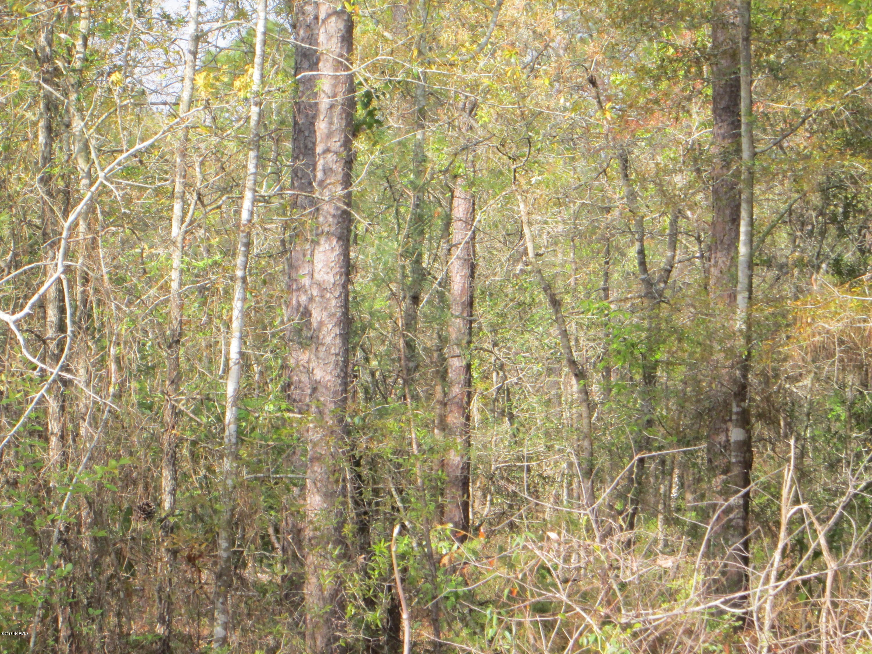 3317 Chair Road Castle Hayne, NC 28429 - Photo 1 of 2 IMG_5777
