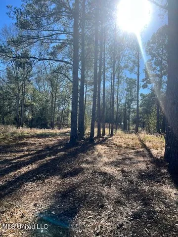 $52,000 | 0 East Shivers Booth Road, Newhebron, MS 39140