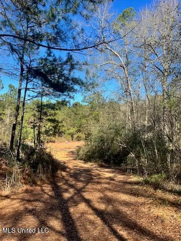 $52,000 | 0 East Shivers Booth Road, Newhebron, MS 39140