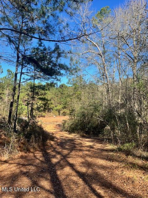 0 East Shivers Booth Road Newhebron, MS 39140 - Photo 6 of 9 image14