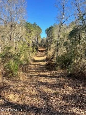 $52,000 | 0 East Shivers Booth Road, Newhebron, MS 39140