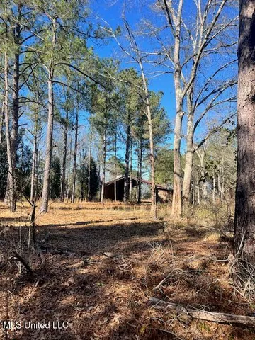 $52,000 | 0 East Shivers Booth Road, Newhebron, MS 39140