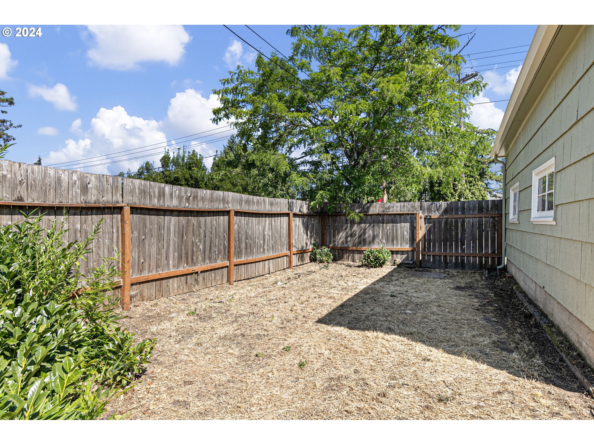 613 Harlow Road Springfield, OR 97477 - Photo 30 of 32 a view of a backyard with a tree