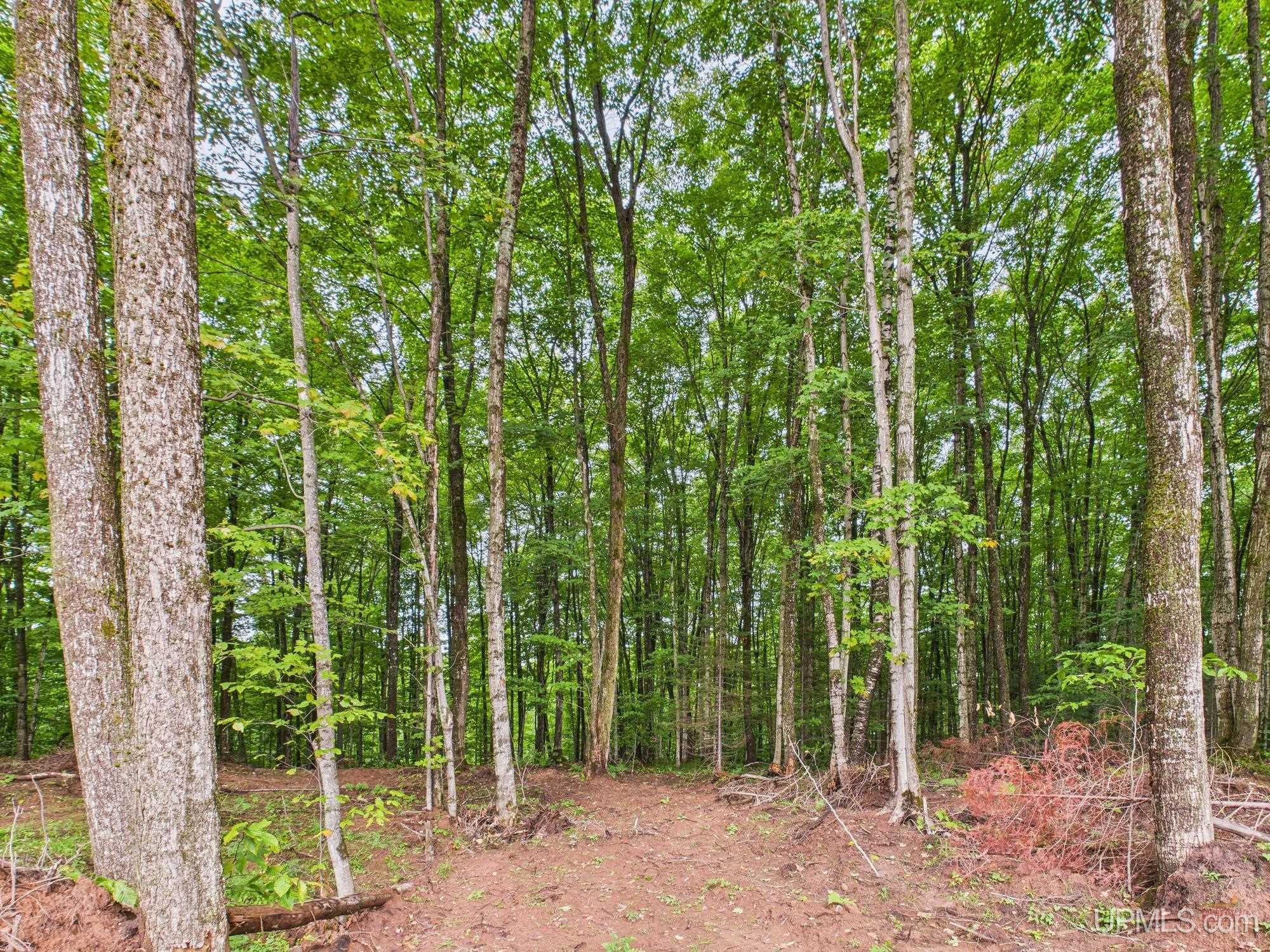 6909 Connors Road Munising, MI 49862 - Photo 20 of 20 Gallery Image 20