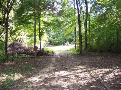 31534 Brandt Road Colon, MI 49040 - Photo 2 of 16 Additional Photo