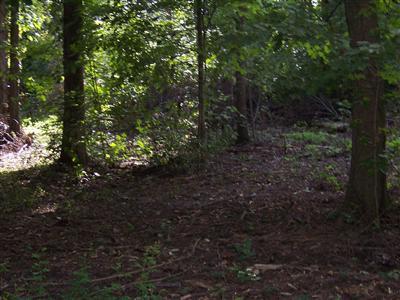 31534 Brandt Road Colon, MI 49040 - Photo 10 of 16 Additional Photo