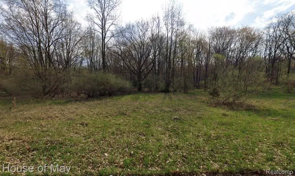 $50,000 | 1132 North Lemen Street, Fenton, MI 48430