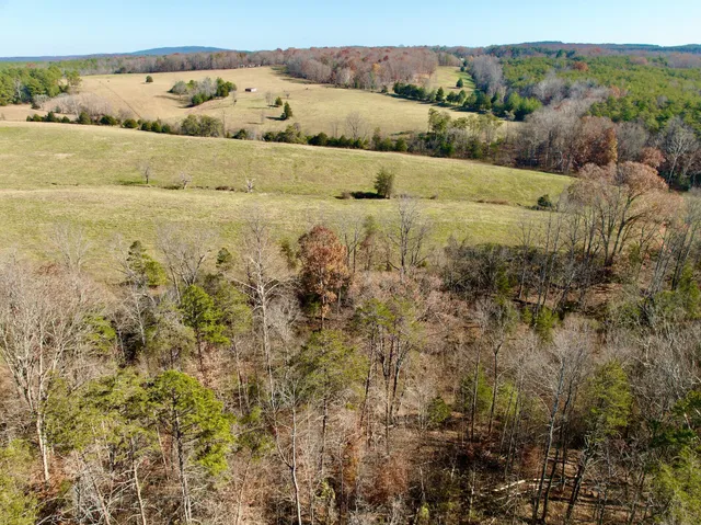 a view of a dry yard with trees