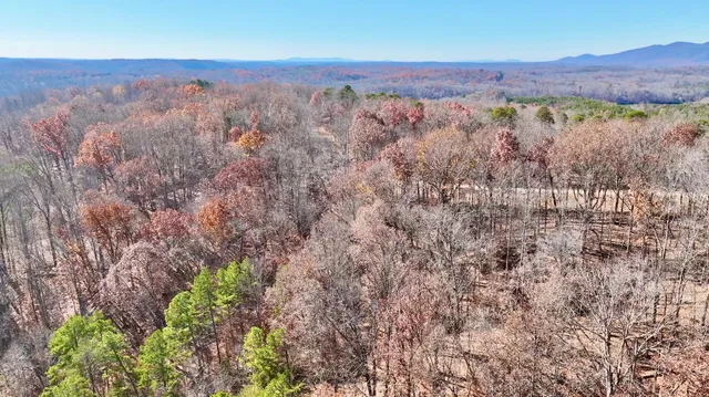 a view of a dry yard
