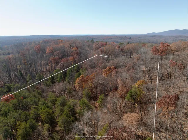 a view of a dry yard