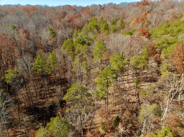 a view of a yard with a mountain
