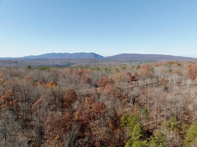 an aerial view of forest