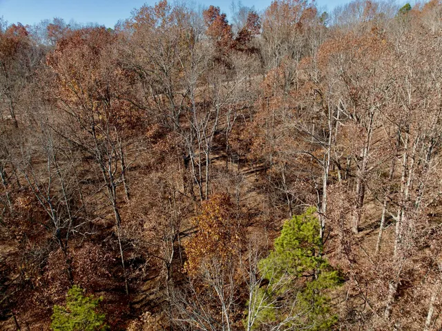 a view of city and mountain