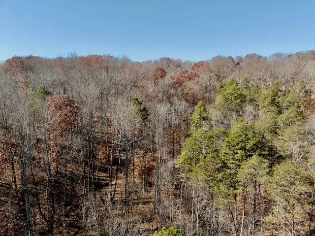 $32,000 | 0 Leesville Lake Drive, Pittsville, VA 24139