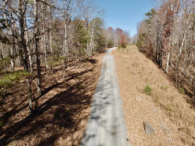 an aerial view of houses covered in trees