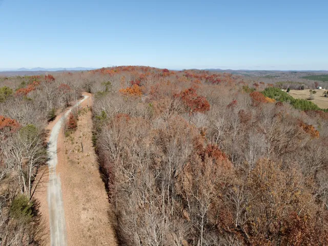a view of a yard with trees