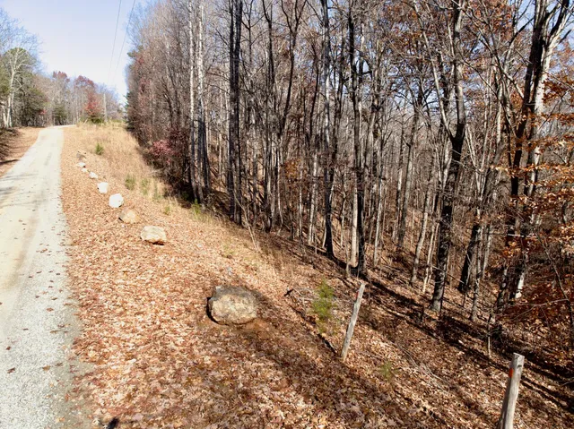 a view of a mountain in the distance