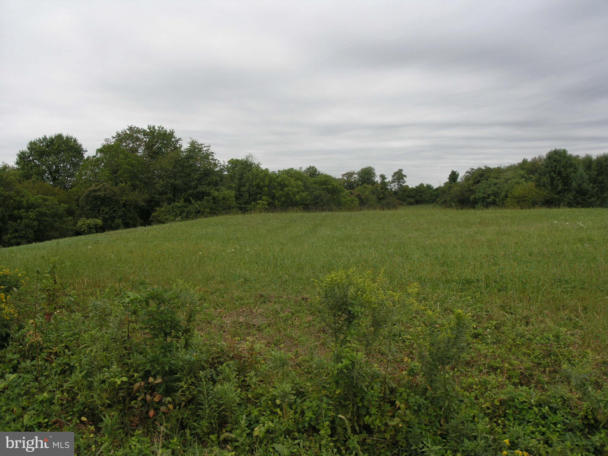 12902 Penn Shop Road Mount Airy, MD 21771 - Photo 4 of 11 View