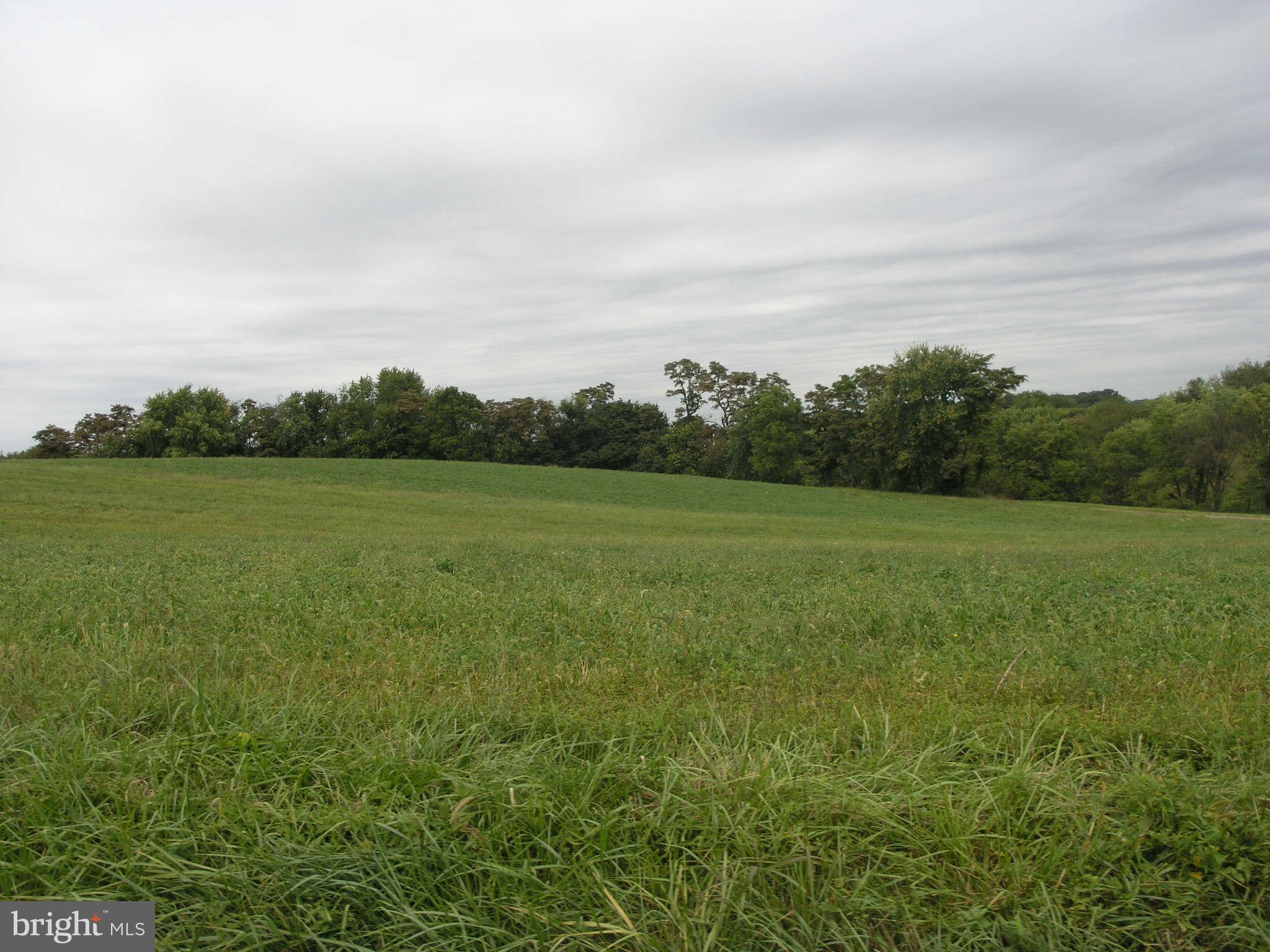 12902 Penn Shop Road Mount Airy, MD 21771 - Photo 5 of 11 View