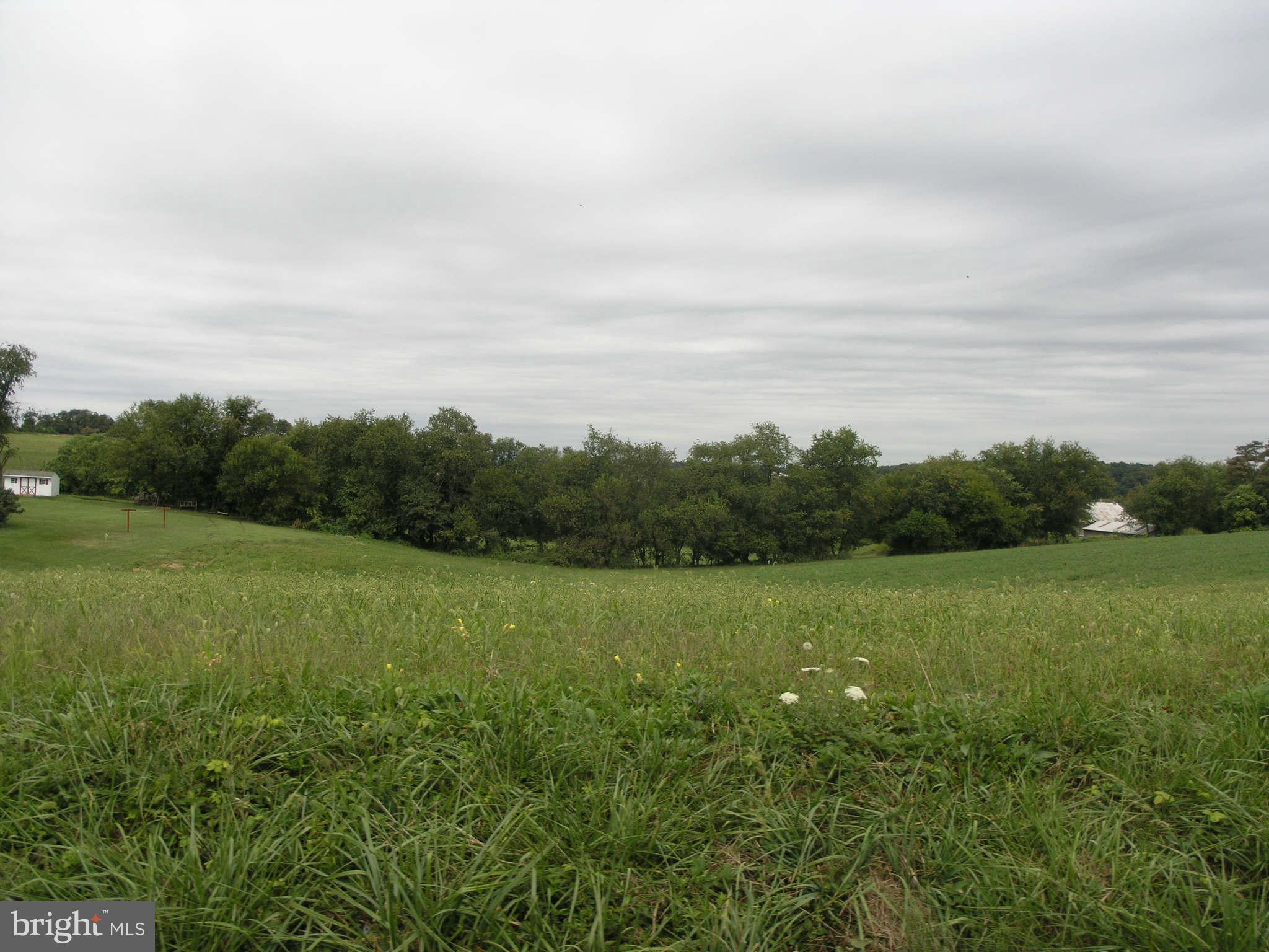 12902 Penn Shop Road Mount Airy, MD 21771 - Photo 9 of 11 View