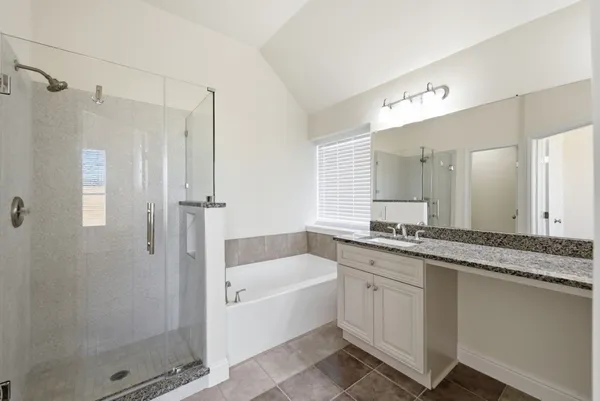 a bathroom with a granite countertop bathtub shower sink and mirror