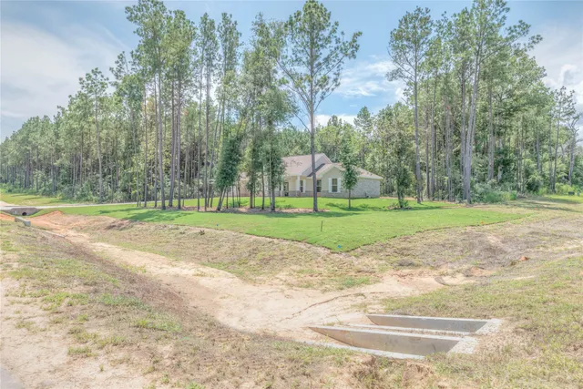 a view of a garden with a slide