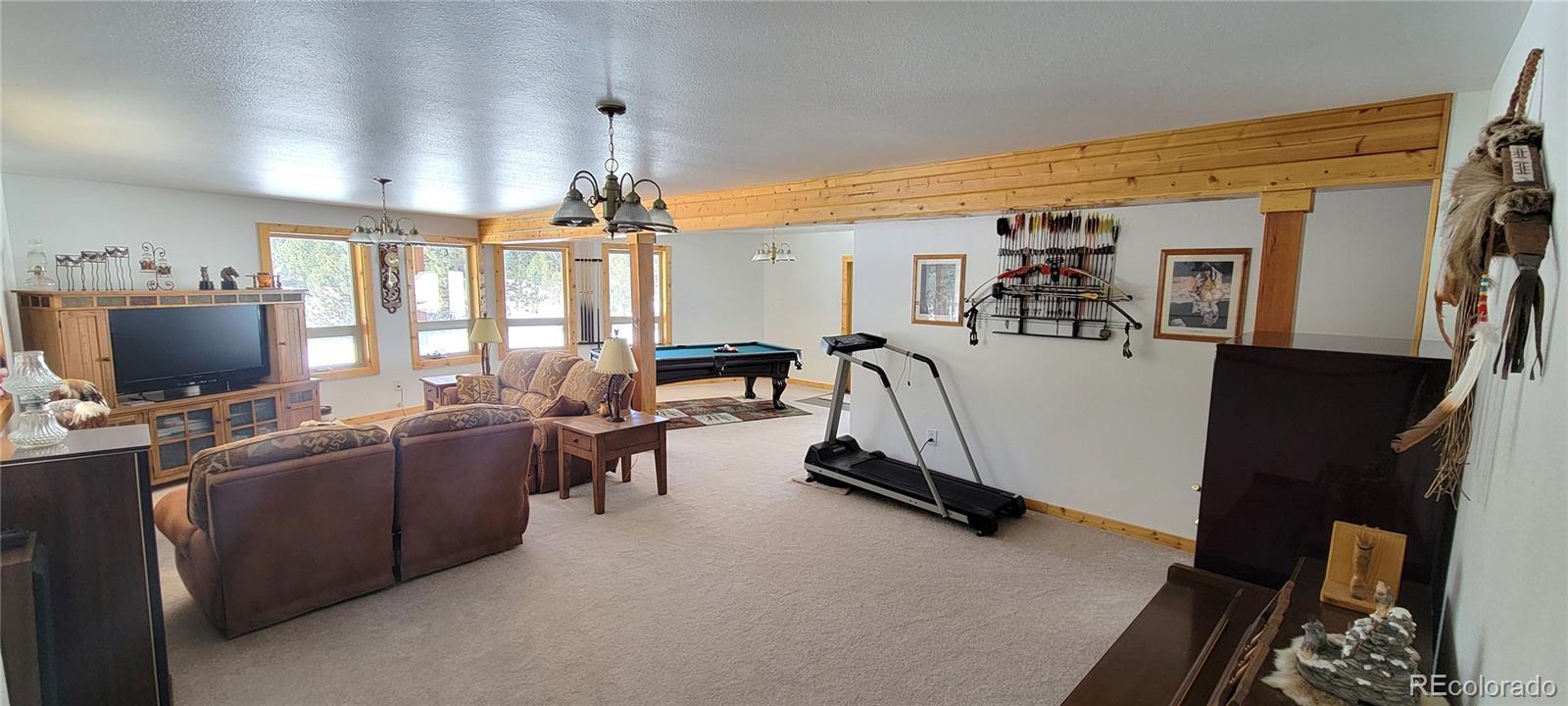 1321 Bristlecone Road Guffey, CO 80820 - Photo 12 of 47