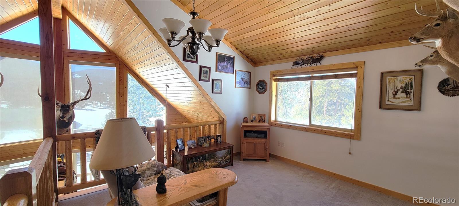 1321 Bristlecone Road Guffey, CO 80820 - Photo 14 of 47