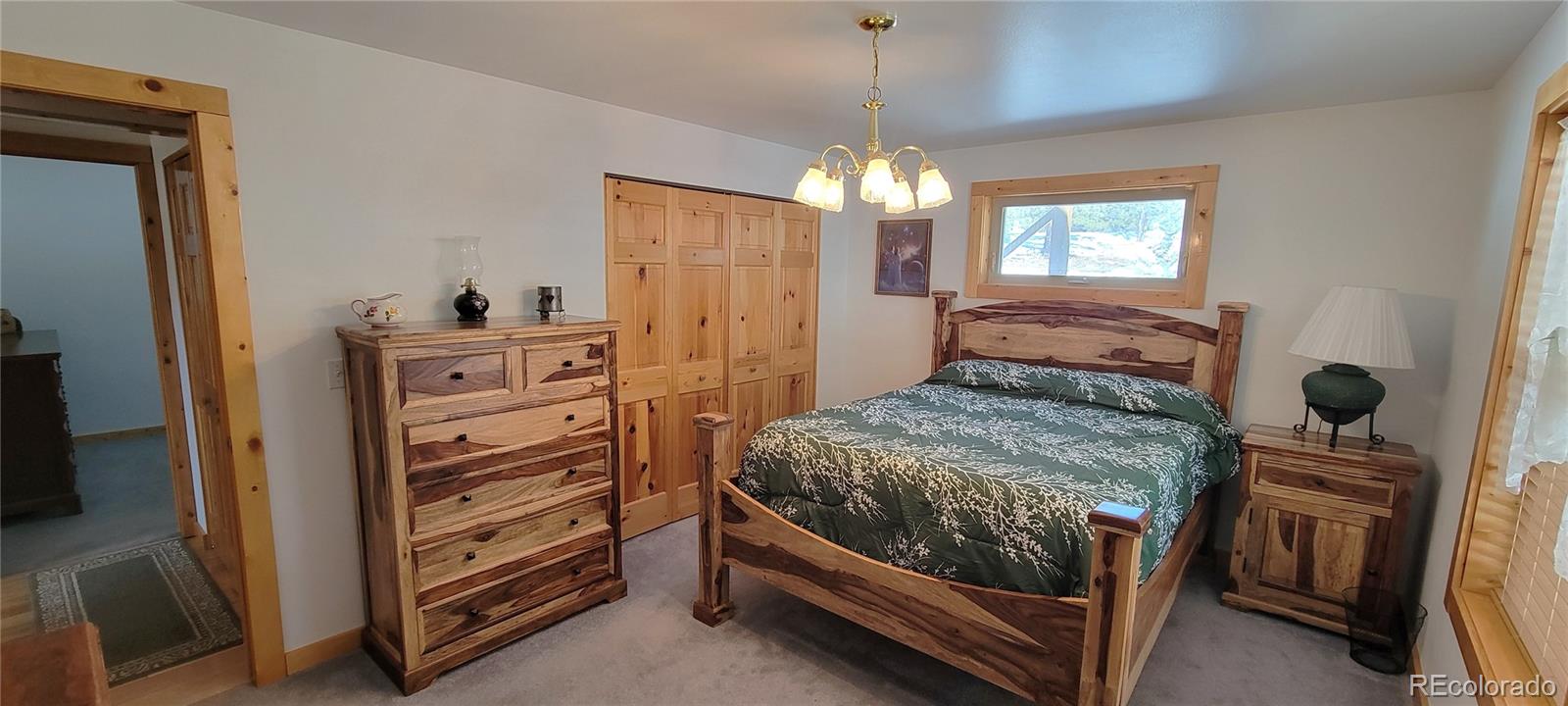 1321 Bristlecone Road Guffey, CO 80820 - Photo 19 of 47
