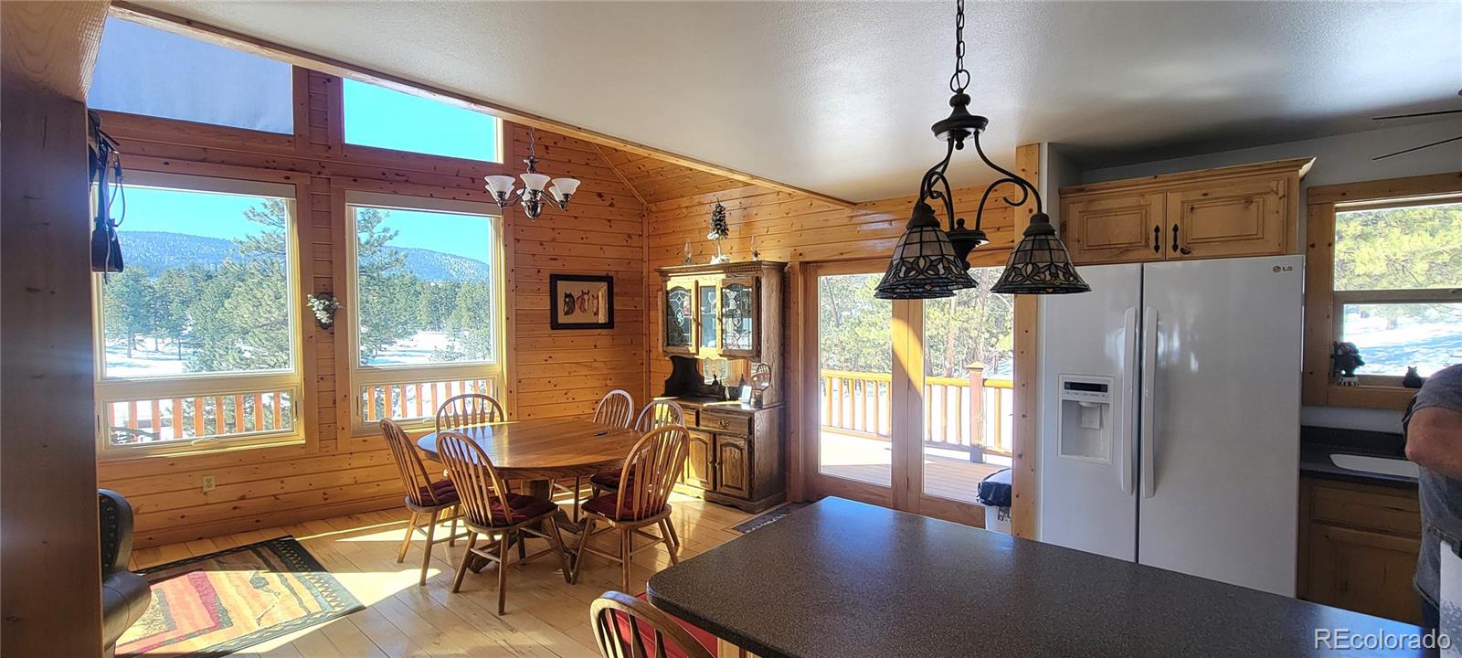 1321 Bristlecone Road Guffey, CO 80820 - Photo 2 of 47
