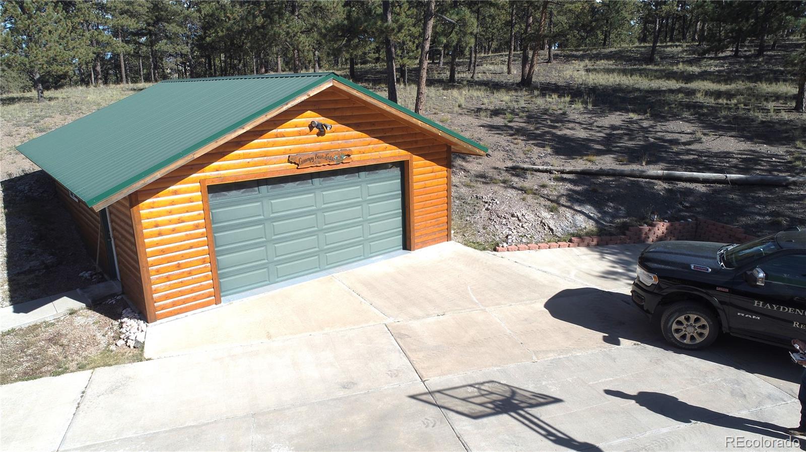 1321 Bristlecone Road Guffey, CO 80820 - Photo 21 of 47