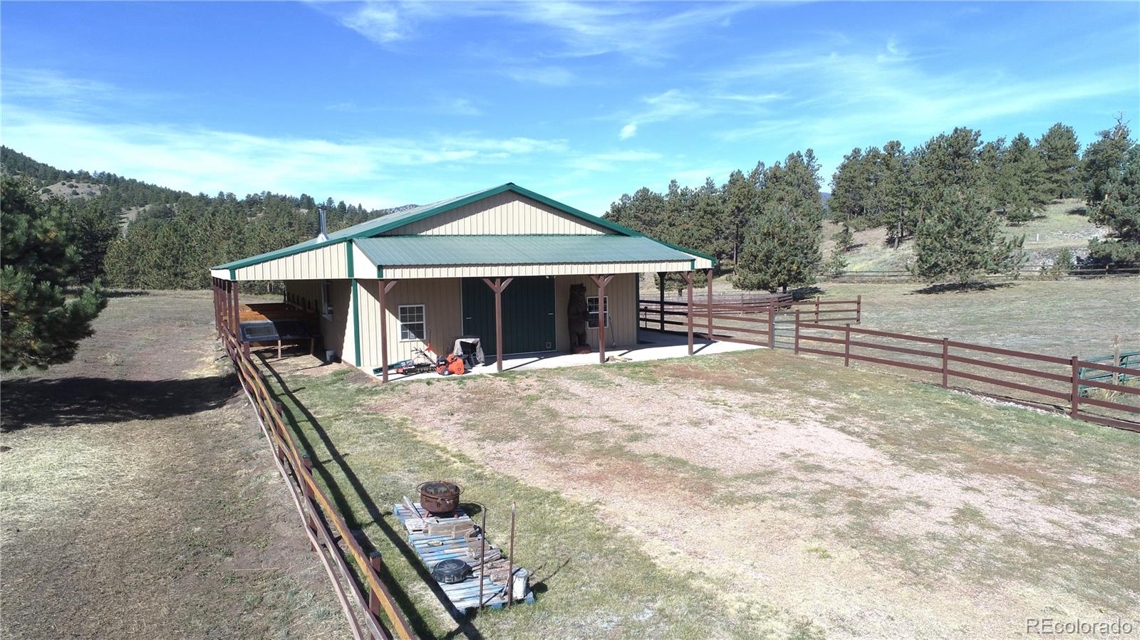 1321 Bristlecone Road Guffey, CO 80820 - Photo 23 of 47