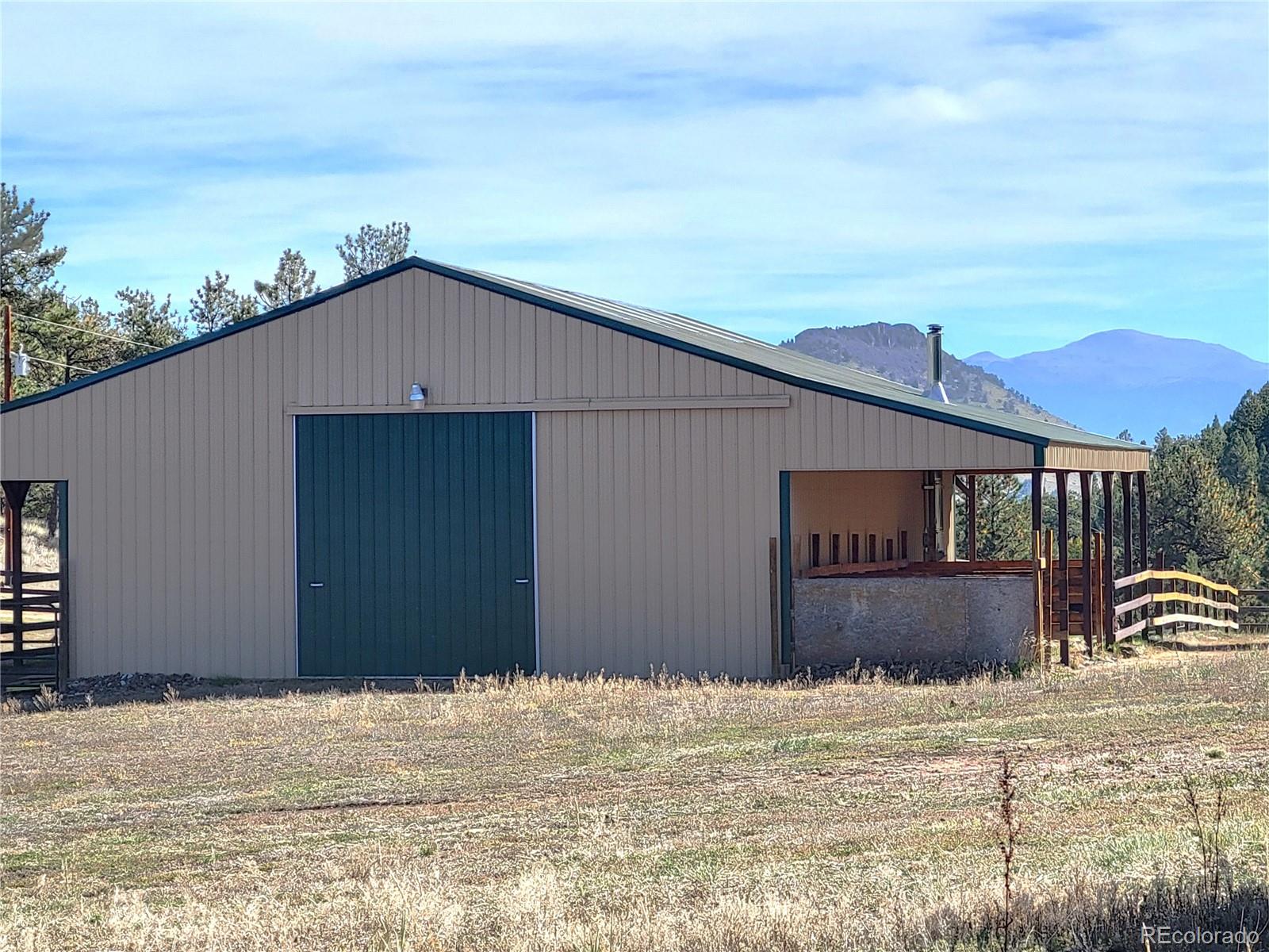 1321 Bristlecone Road Guffey, CO 80820 - Photo 24 of 47