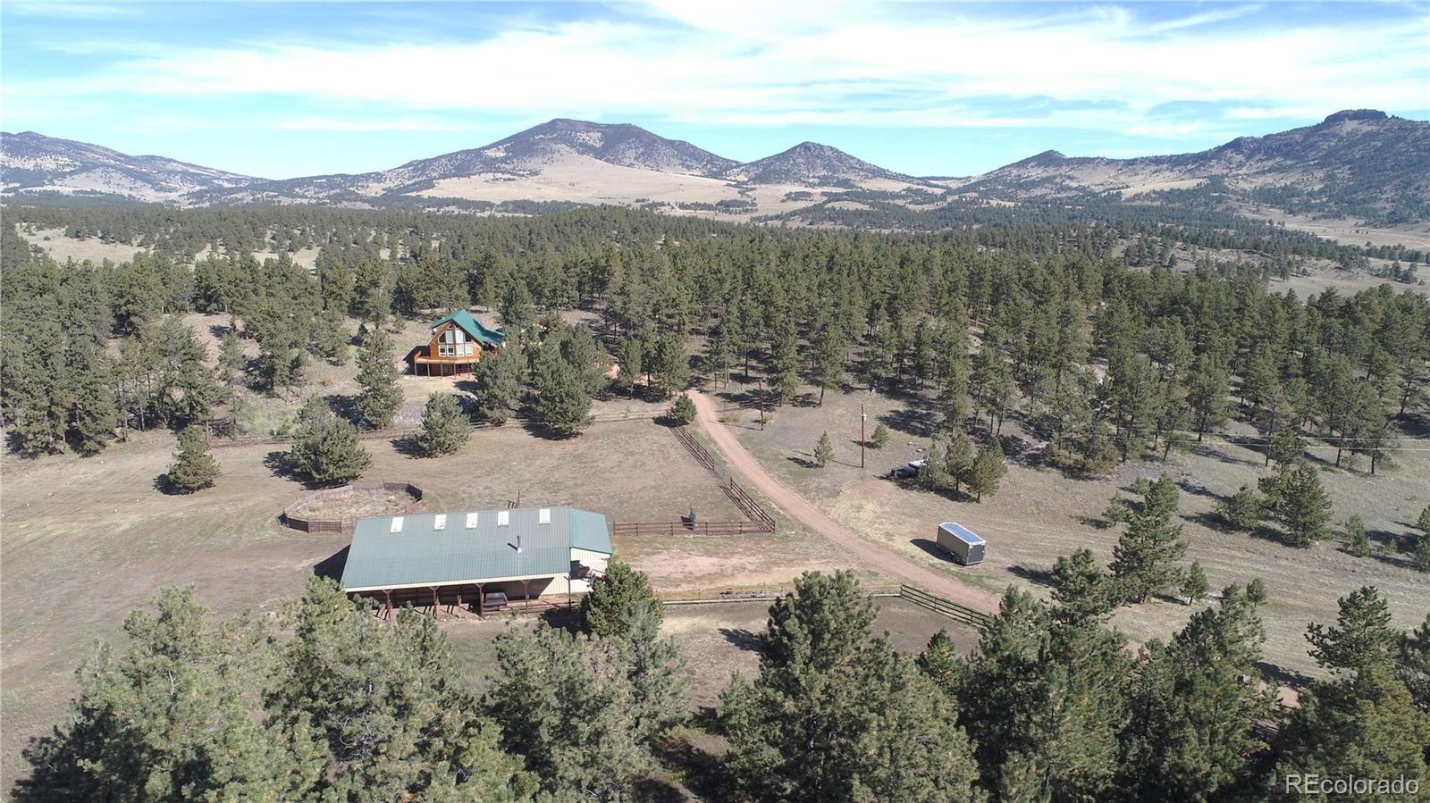 1321 Bristlecone Road Guffey, CO 80820 - Photo 30 of 47