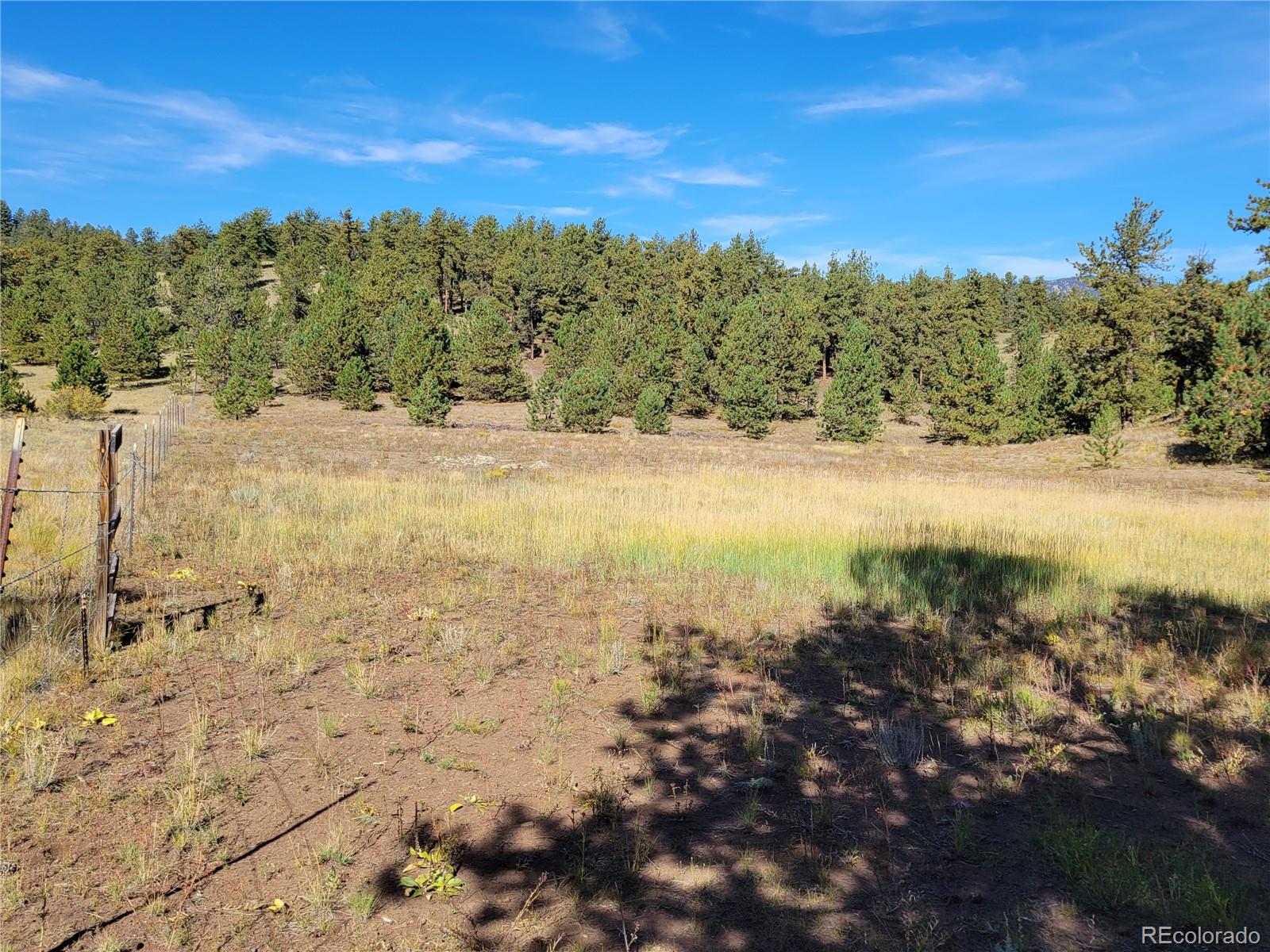 1321 Bristlecone Road Guffey, CO 80820 - Photo 33 of 47