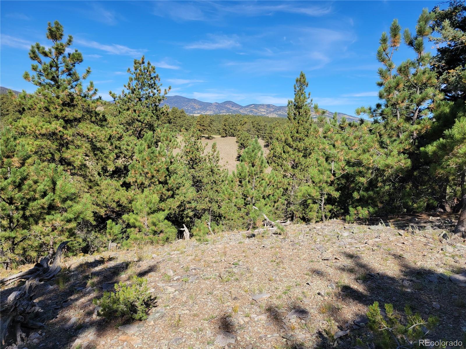 1321 Bristlecone Road Guffey, CO 80820 - Photo 34 of 47