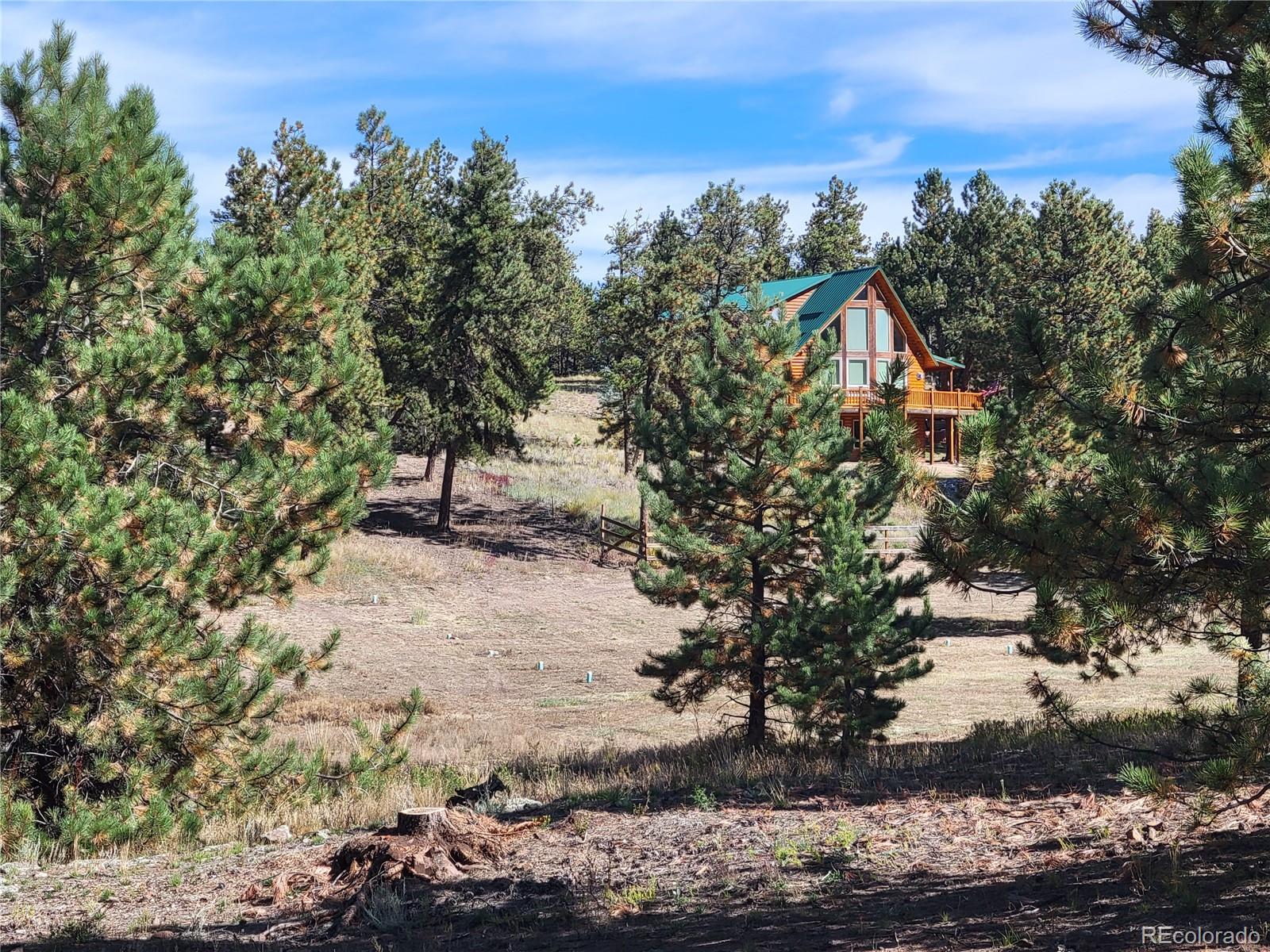 1321 Bristlecone Road Guffey, CO 80820 - Photo 35 of 47