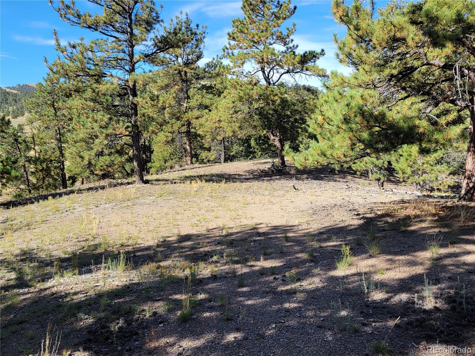 1321 Bristlecone Road Guffey, CO 80820 - Photo 36 of 47