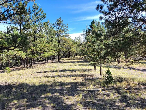 $1,449,000 | 1321 Bristlecone Road, Guffey, CO 80820