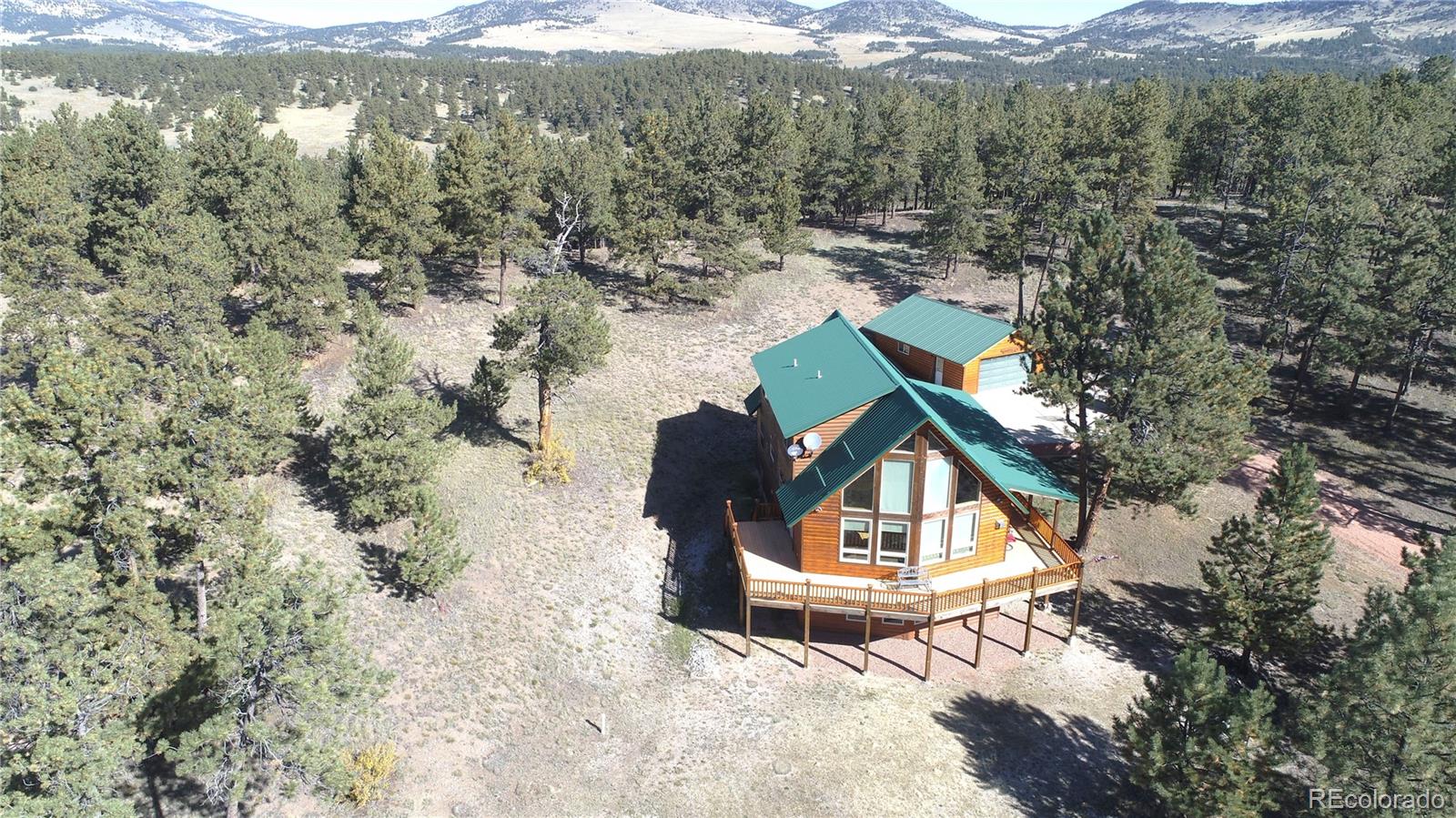 1321 Bristlecone Road Guffey, CO 80820 - Photo 38 of 47