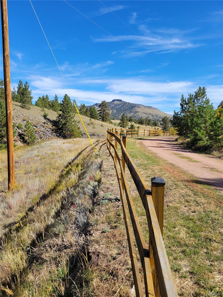 1321 Bristlecone Road Guffey, CO 80820 - Photo 39 of 47