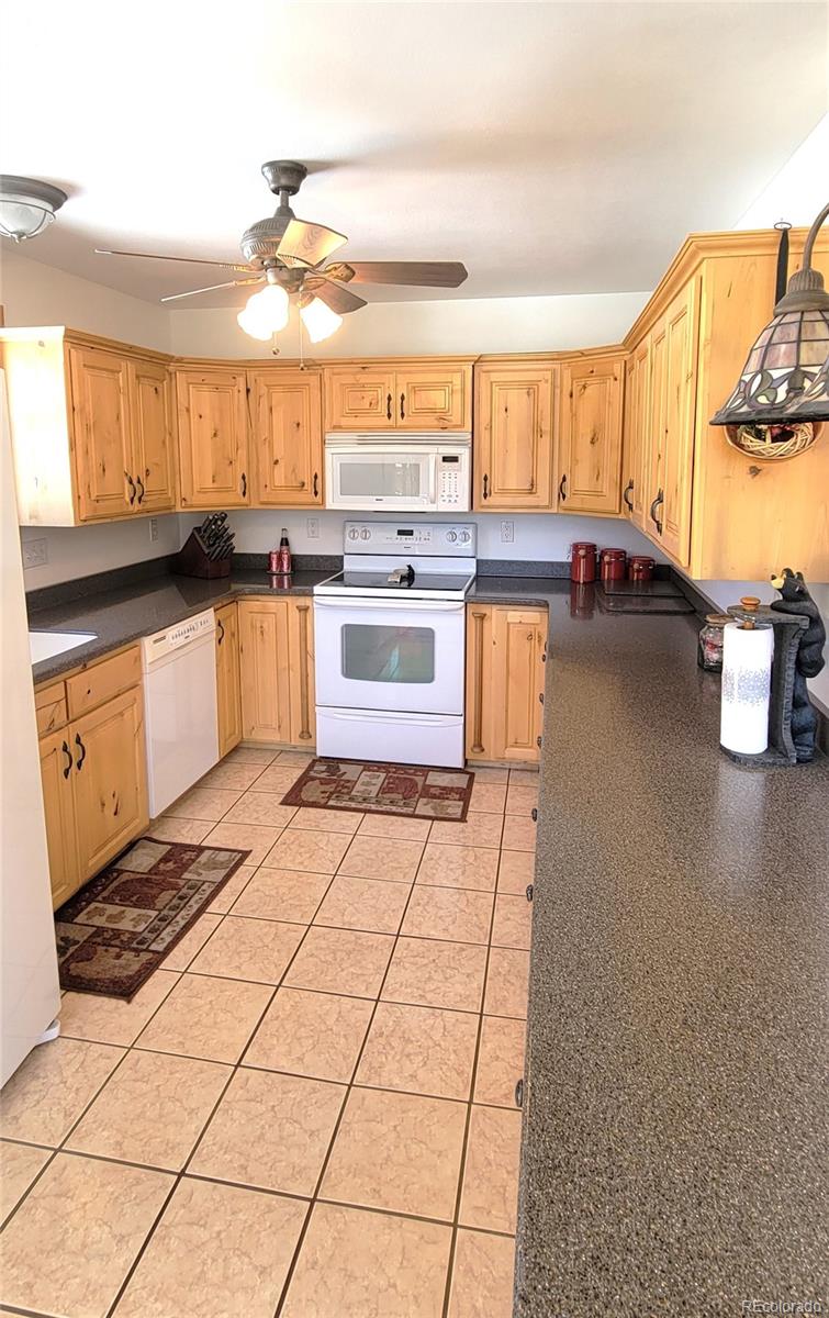 1321 Bristlecone Road Guffey, CO 80820 - Photo 4 of 47