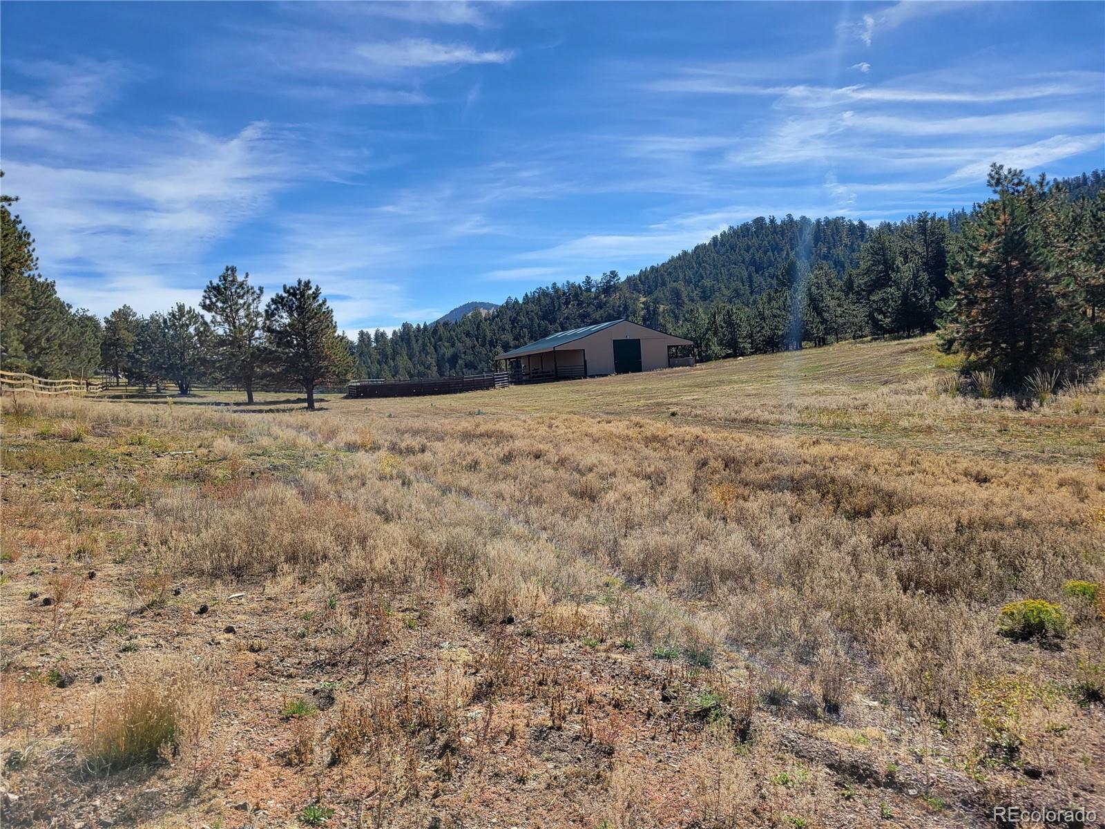 1321 Bristlecone Road Guffey, CO 80820 - Photo 41 of 47