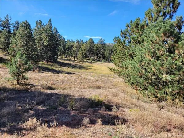 $1,449,000 | 1321 Bristlecone Road, Guffey, CO 80820