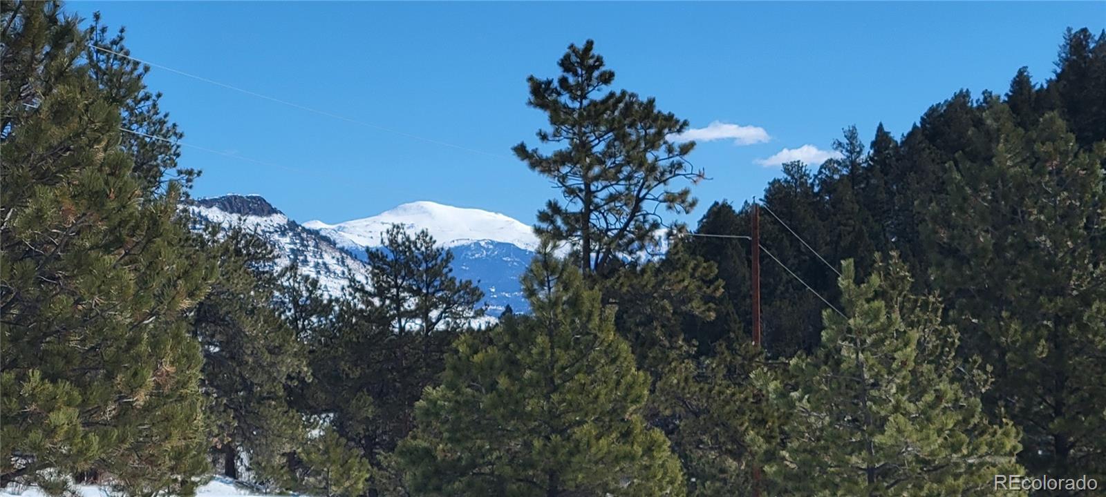 1321 Bristlecone Road Guffey, CO 80820 - Photo 43 of 47