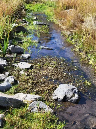 $1,449,000 | 1321 Bristlecone Road, Guffey, CO 80820