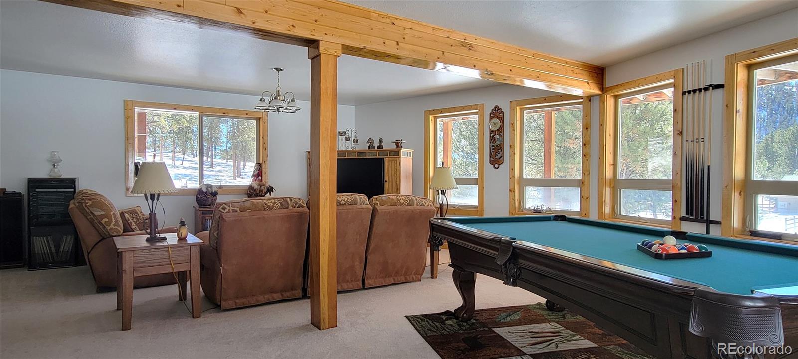 1321 Bristlecone Road Guffey, CO 80820 - Photo 10 of 47