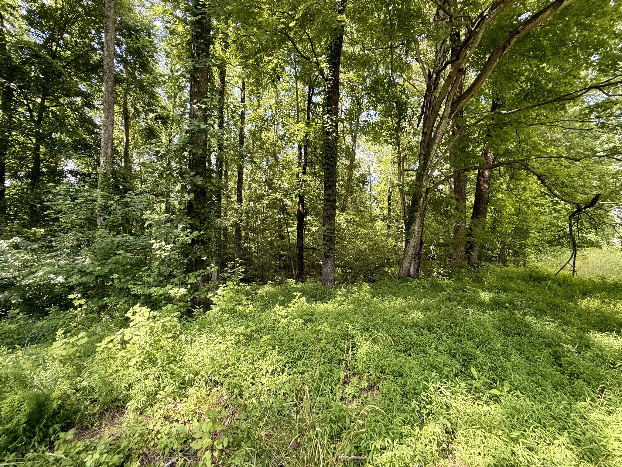 59 Hardin Loop Westpoint, TN 38486 - Photo 51 of 74